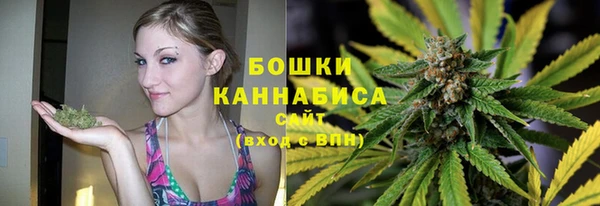 трава Арсеньев