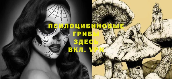 трава Арсеньев