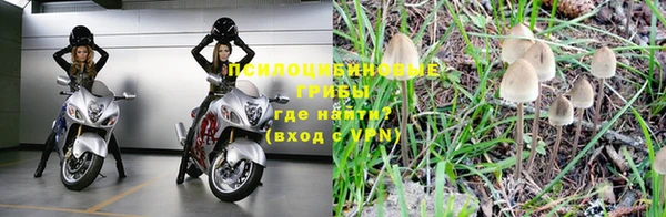 мяу мяу мука Армянск